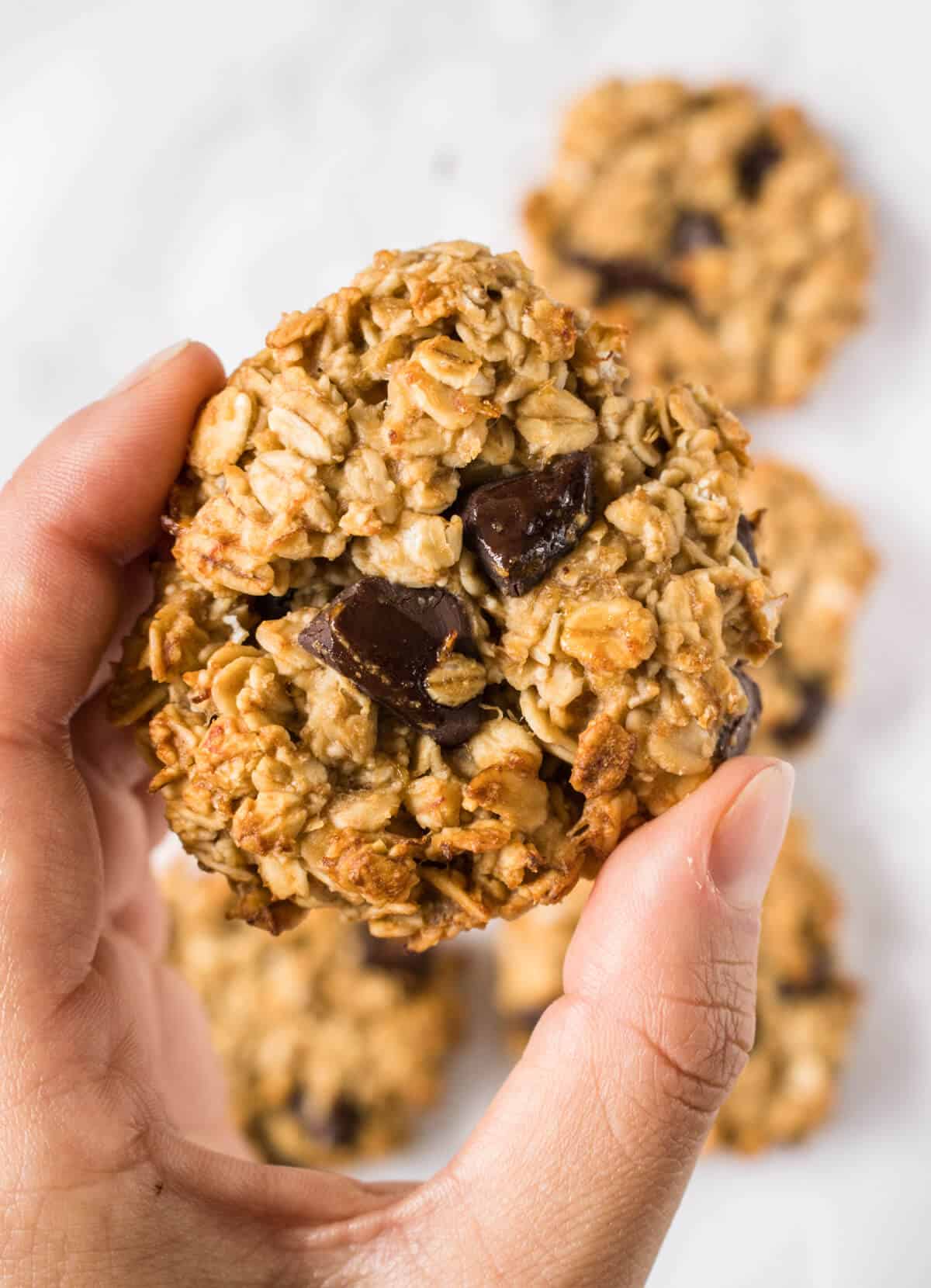 One cookie in the hand, close up shot