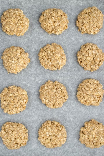 Anzac biscuit