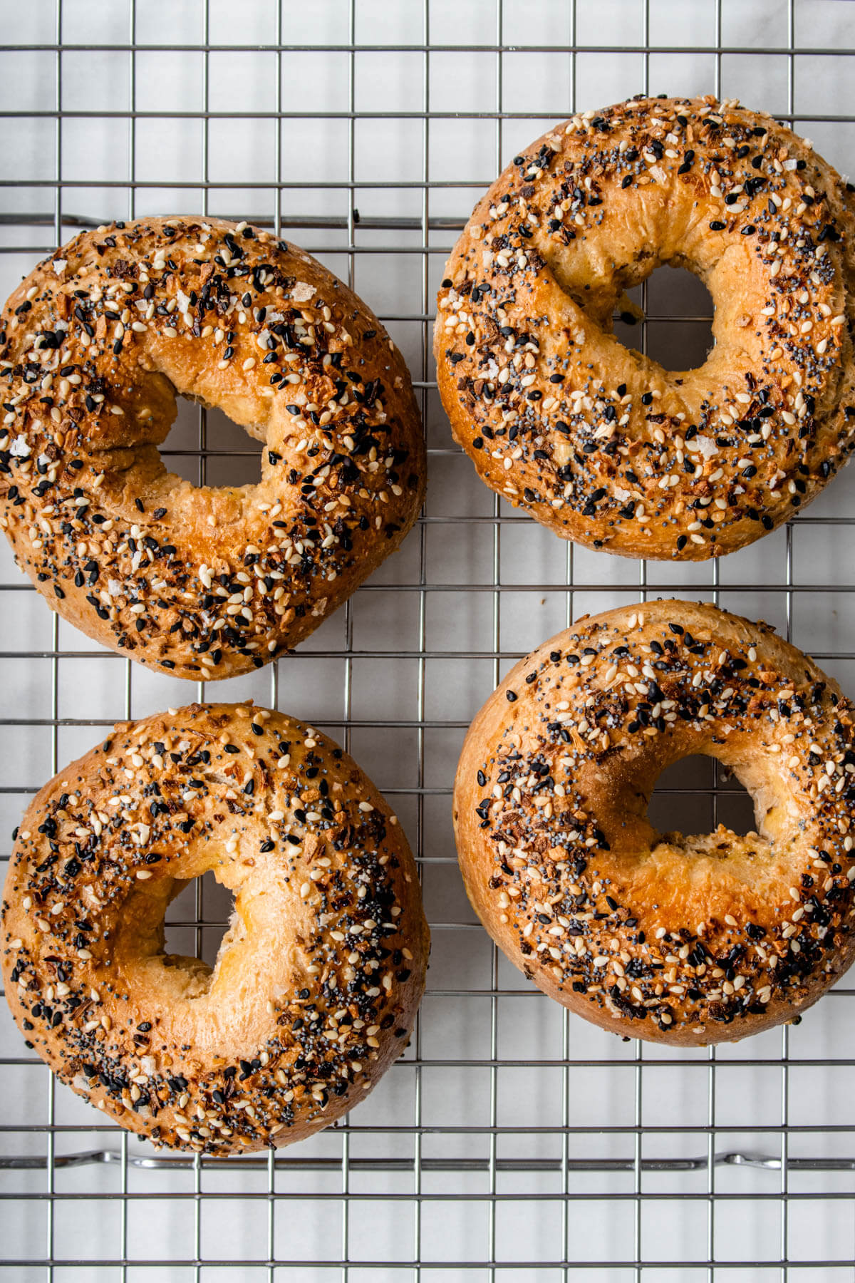 Homemade High Protein Bagels Recipe