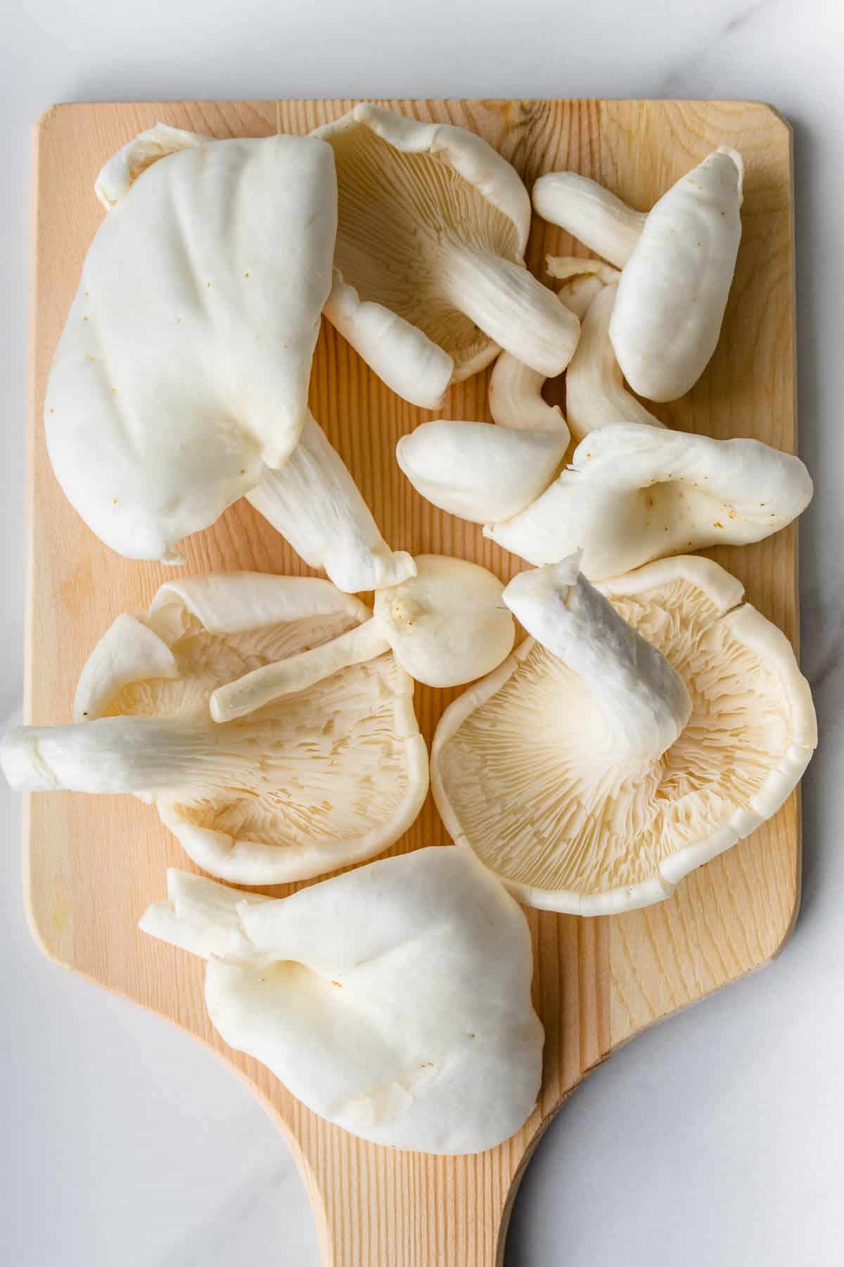 Can Family Cut out's Mushrooms