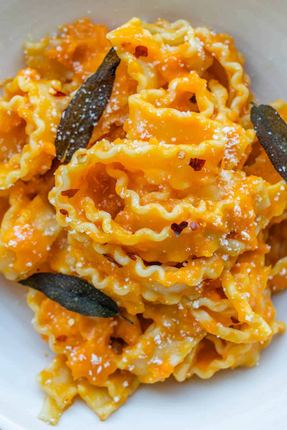 Close up of creamy pumpkin pasta sauce in a bowl