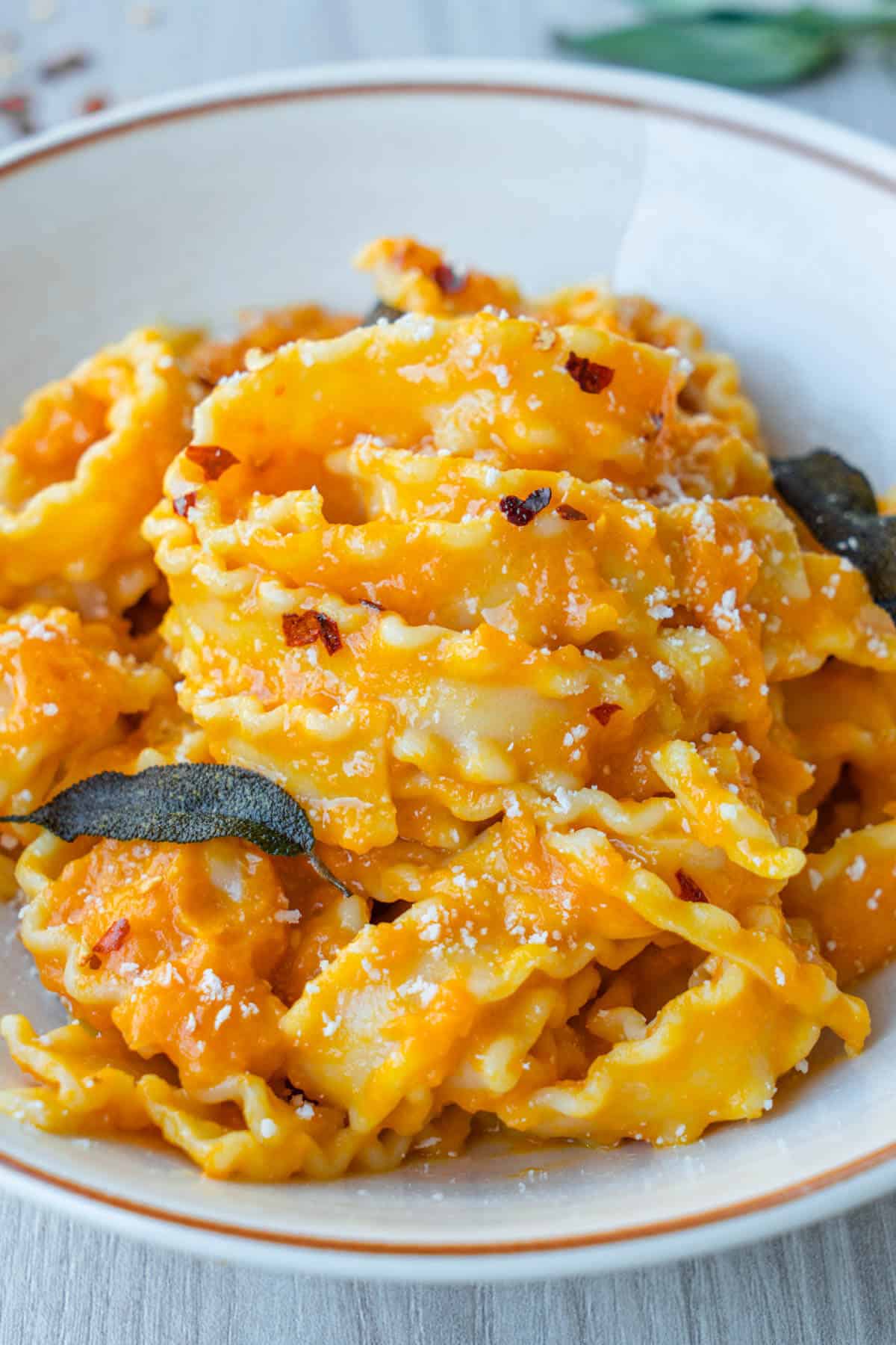 Pumpkin pasta sauce served with sage, chilli and parmesan
