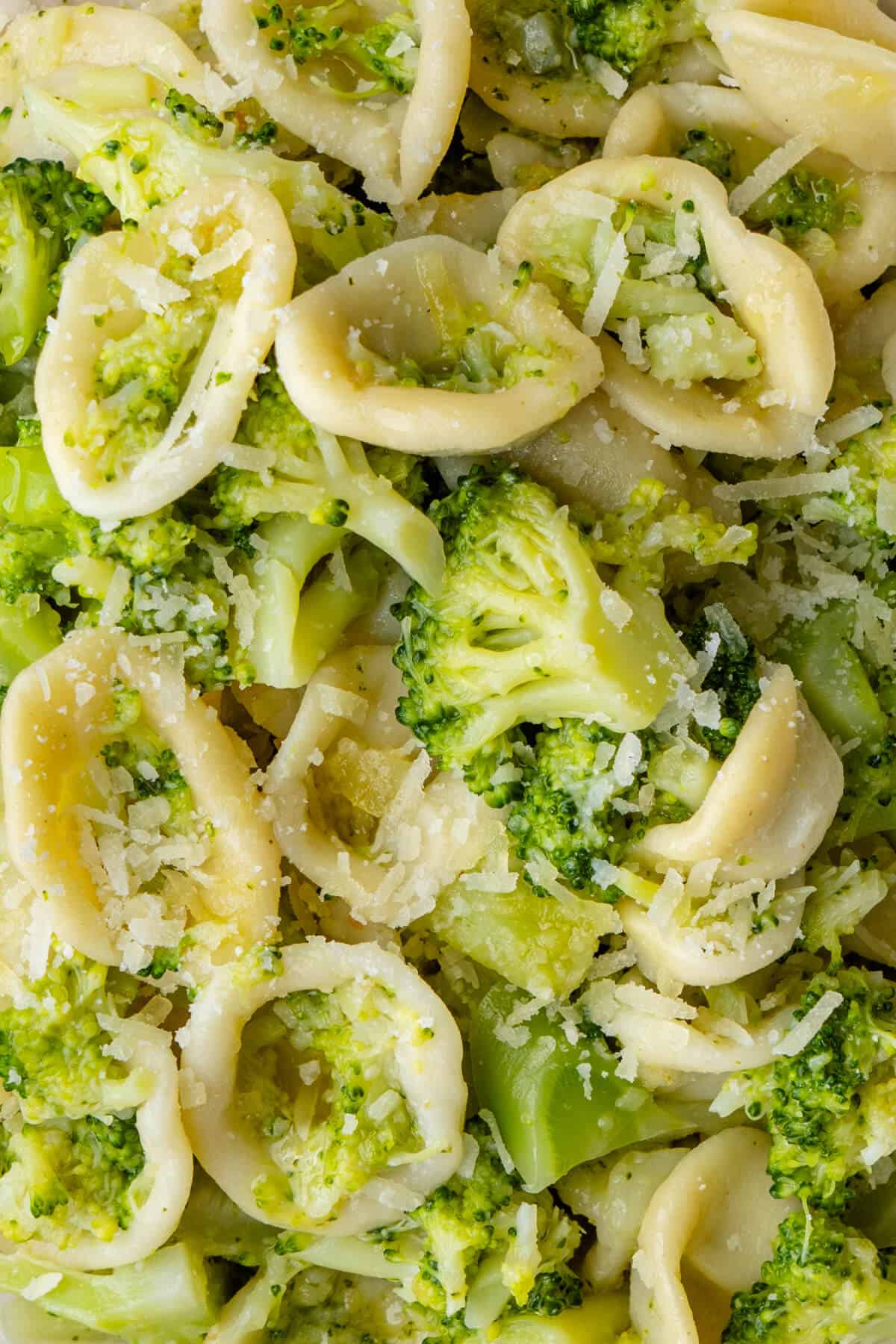 Close up of broccoli pasta topped with parmesan cheese