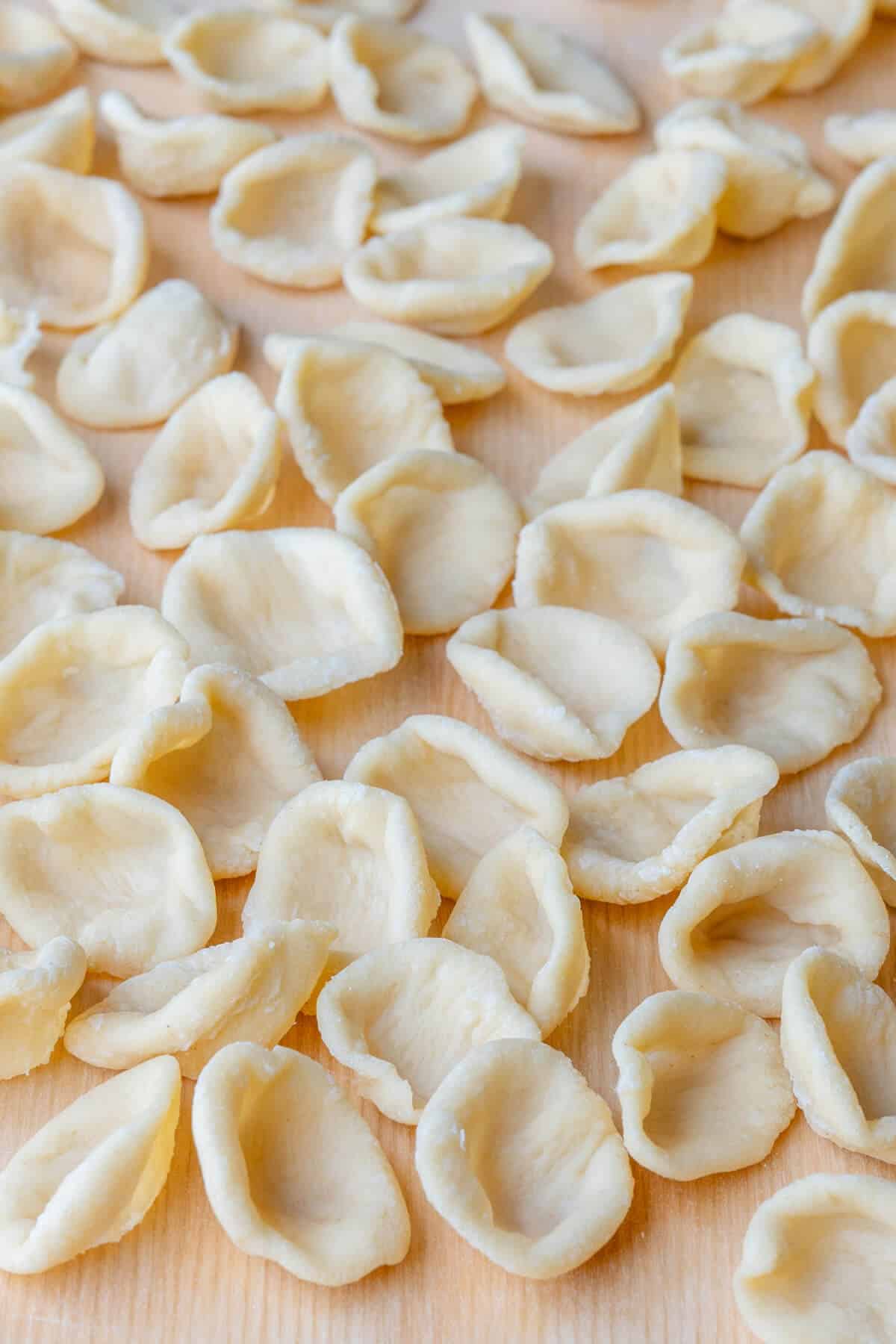 Close up of orecchiette pasta shape to show the inside