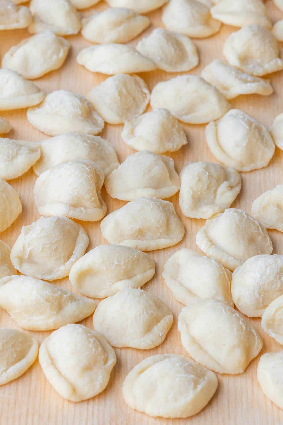 Close up of orecchiette pasta shape to show the outside