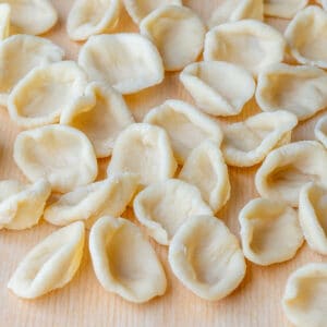 Fresh orecchiette pasta