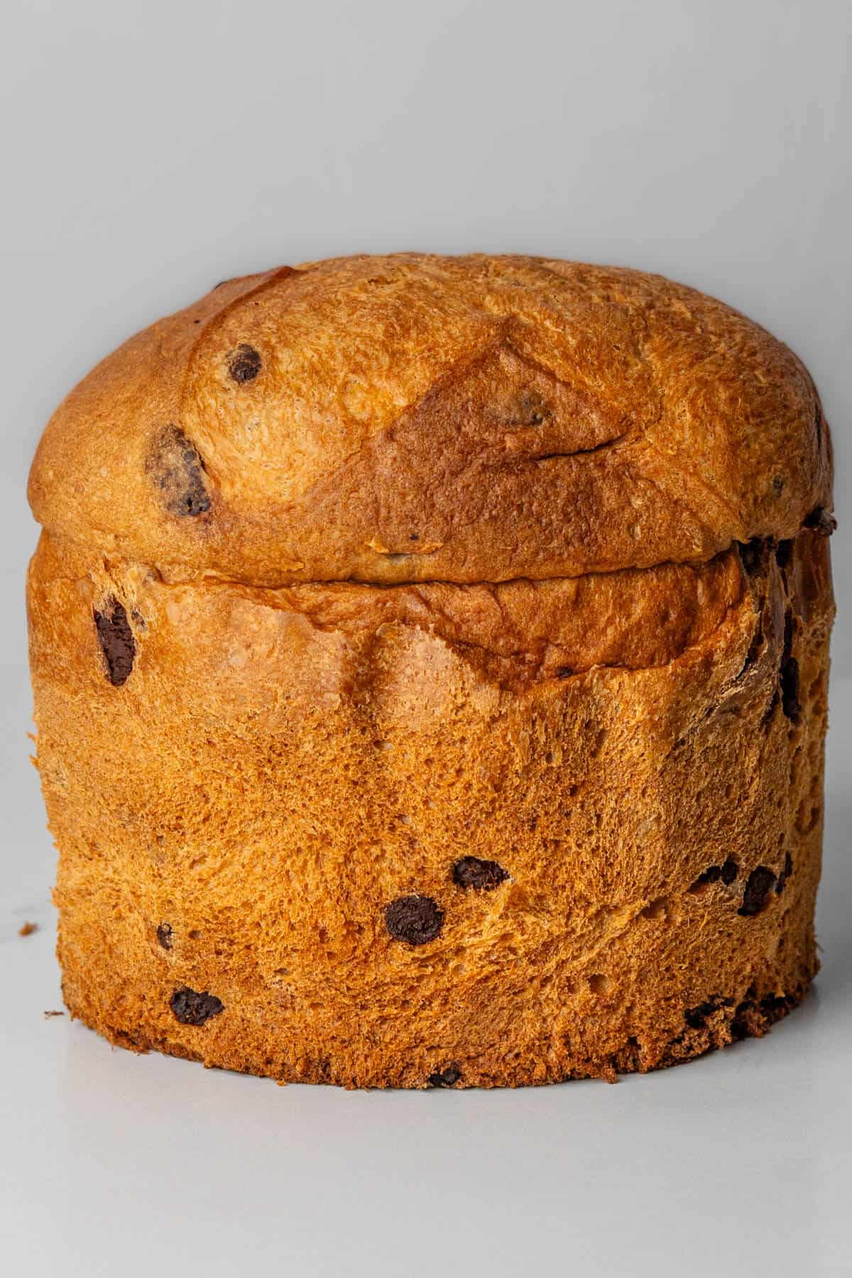 A loaf of panettone before it's sliced