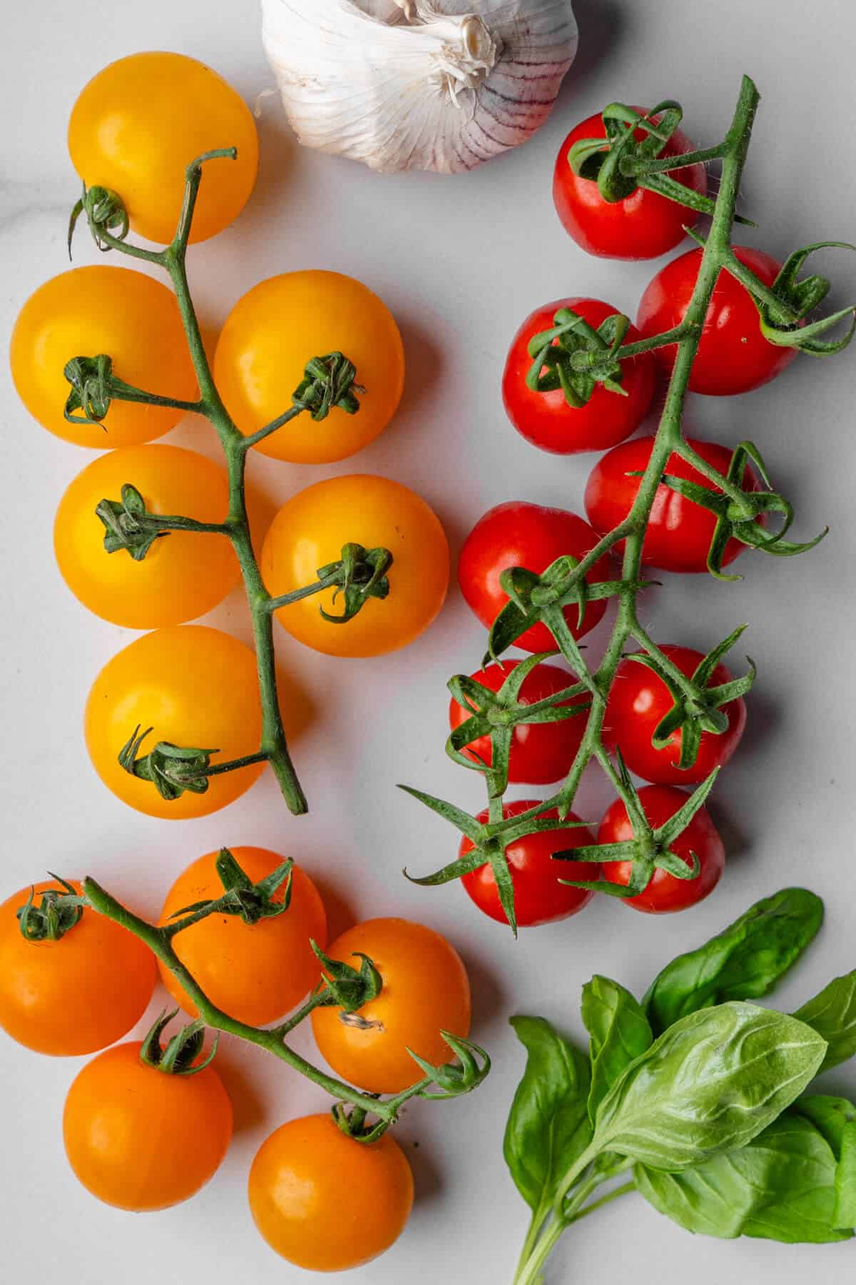 Ingredients used being 3 types of cherry tomatoes, garlic and basil