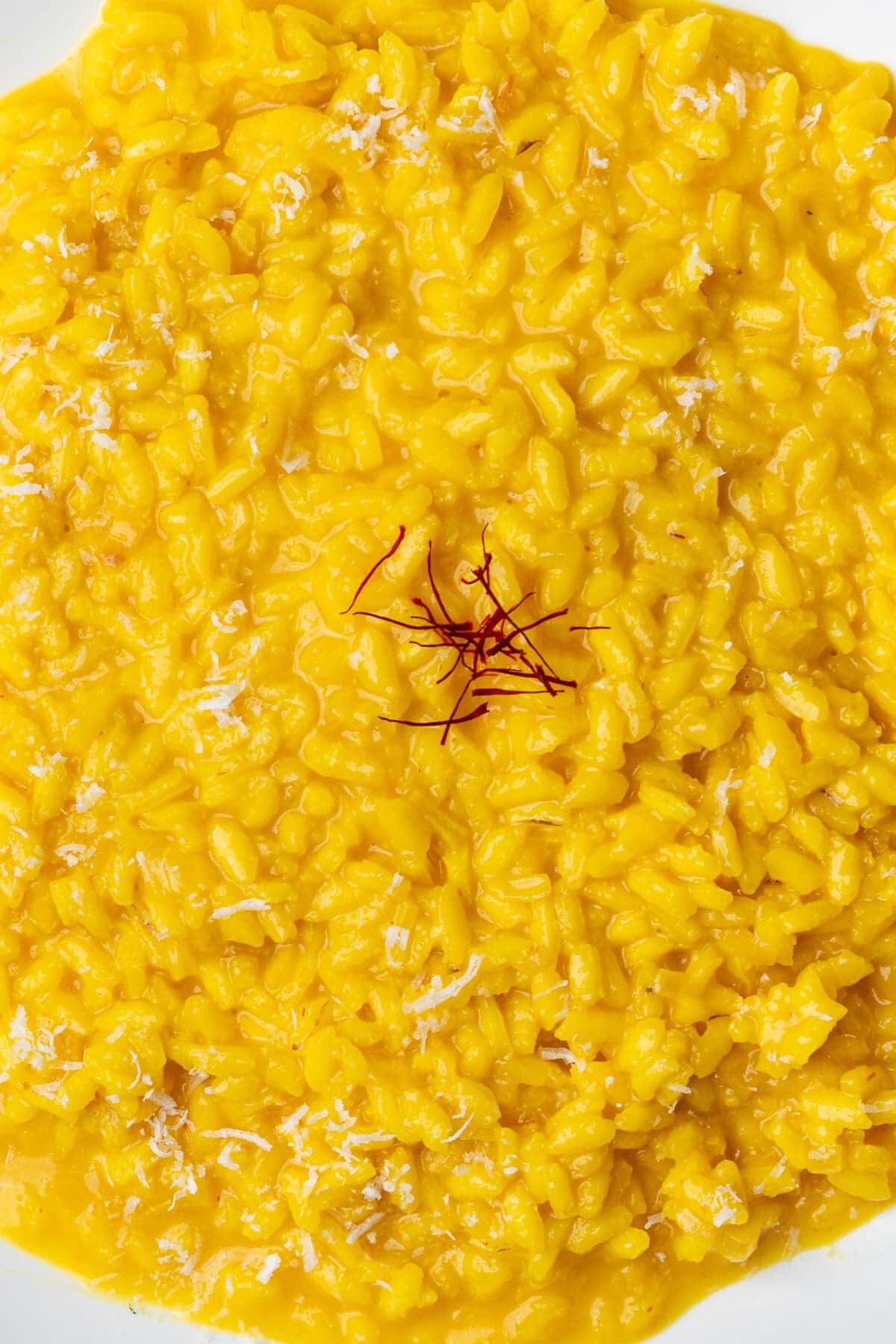 Close up of saffron risotto topped with saffron threads