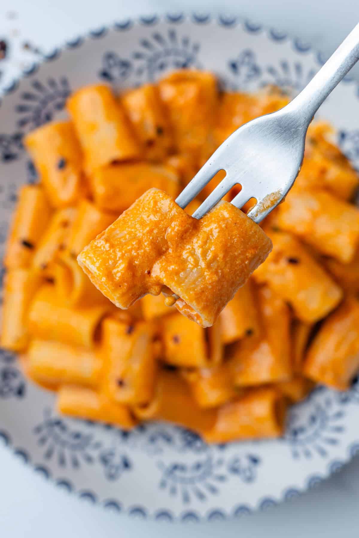 Close up of fork with spicy vodka pasta
