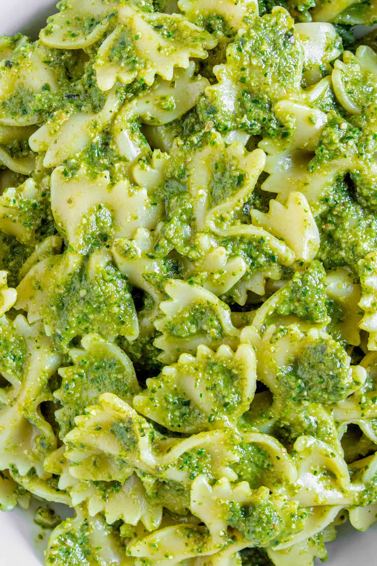 Close up of green pasta