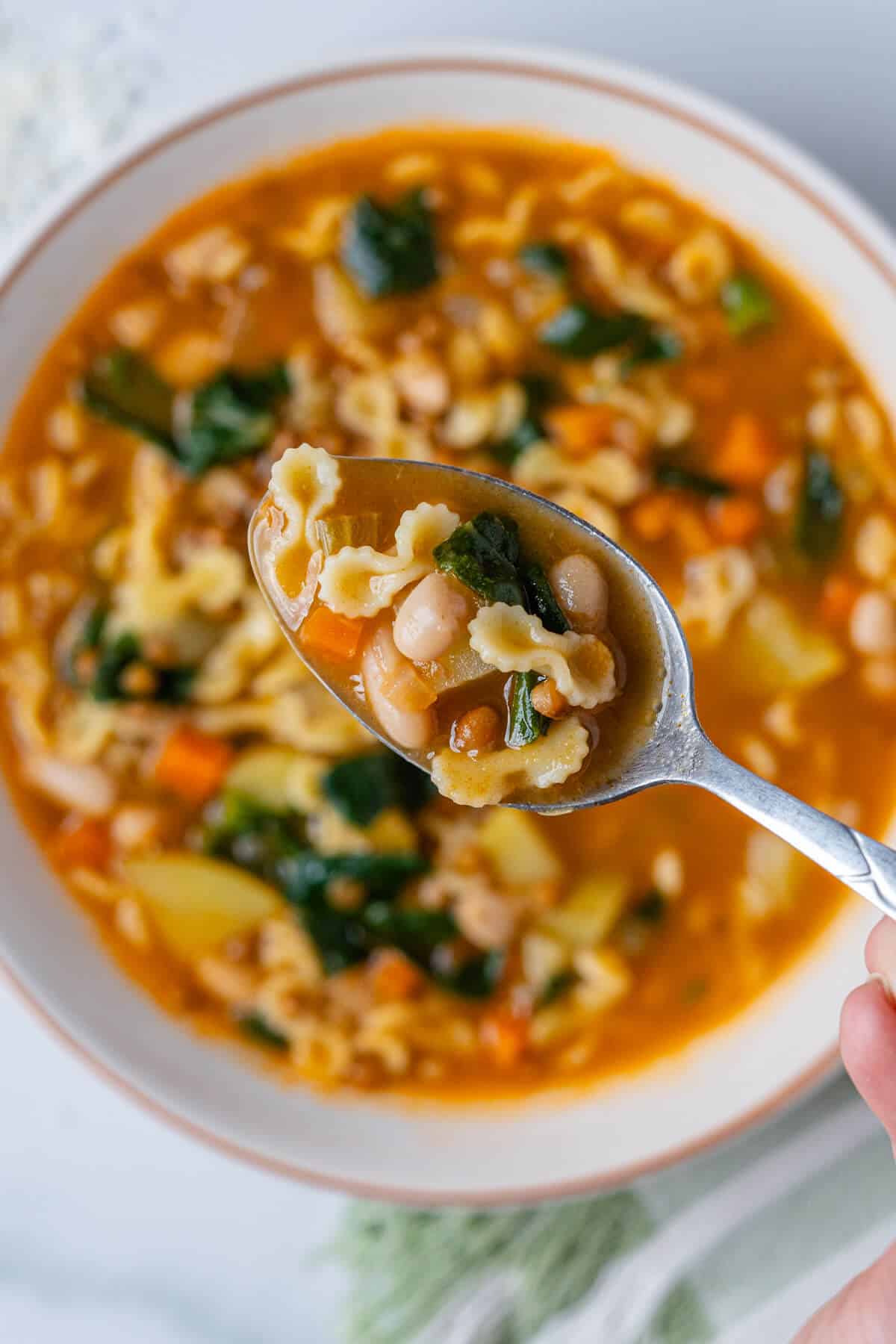 Close up of spoon with minestrone