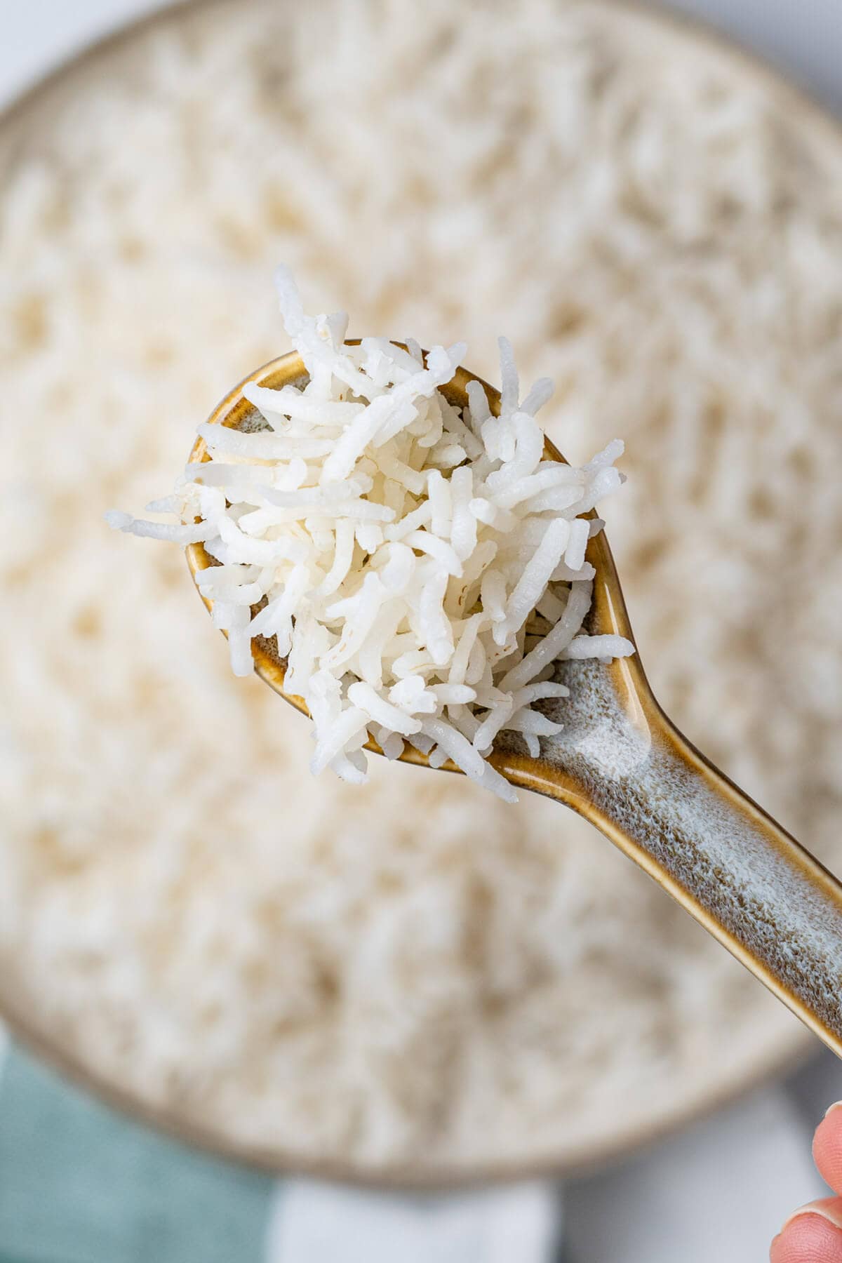 Close up of spoon of rice