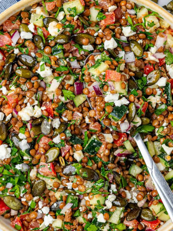 Bowl of Lentil Salad with a spoon
