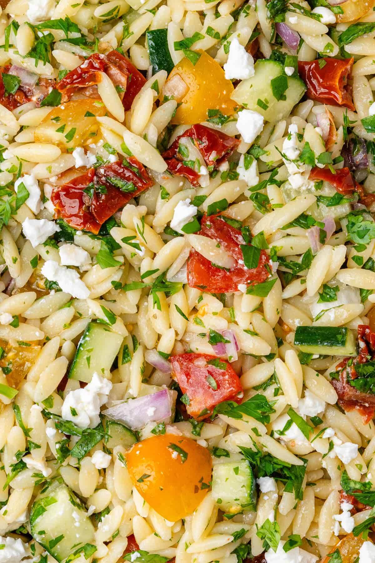 Close up of orzo salad to show different colors