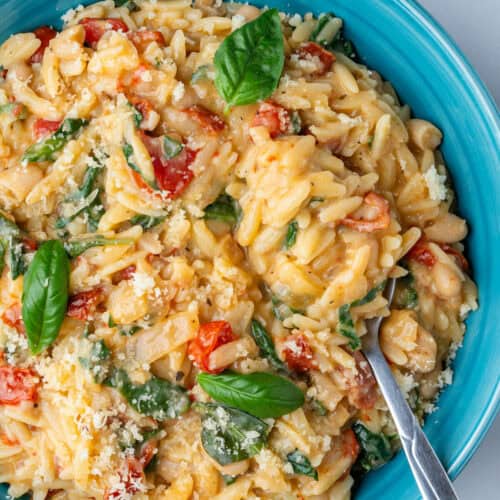 Creamy orzo pasta topped with parmesan and basil