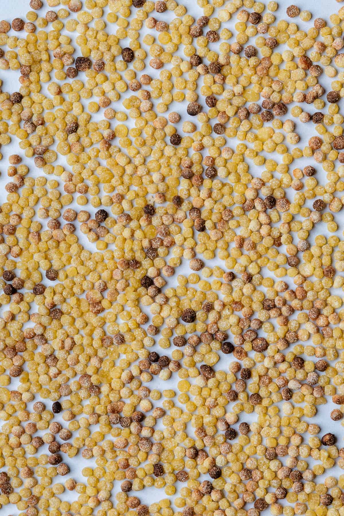 Dried tri color fregula pasta