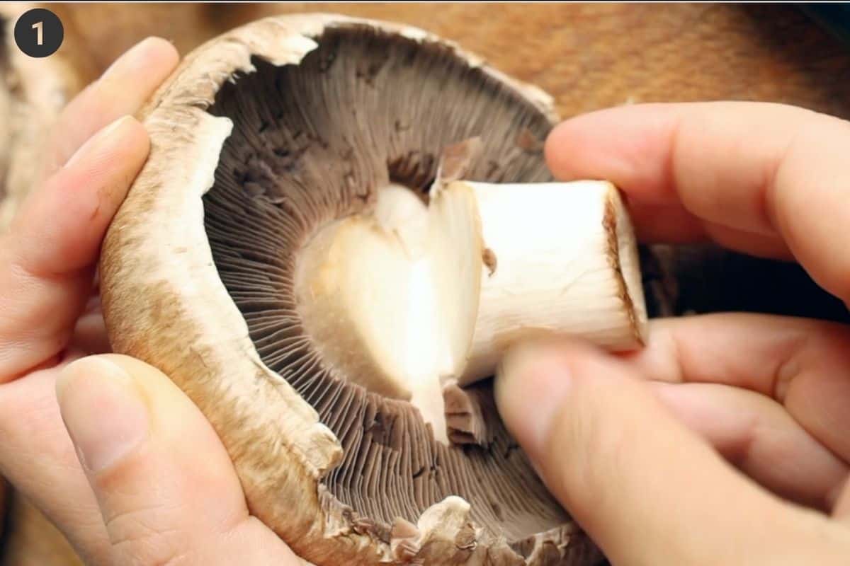 Stem being removed off a portobello mushroom