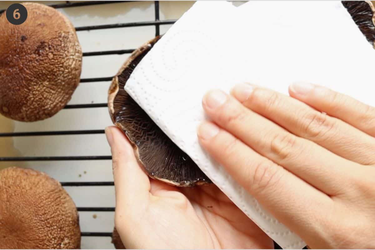 Portobello mushroom being pat dry with a paper towel