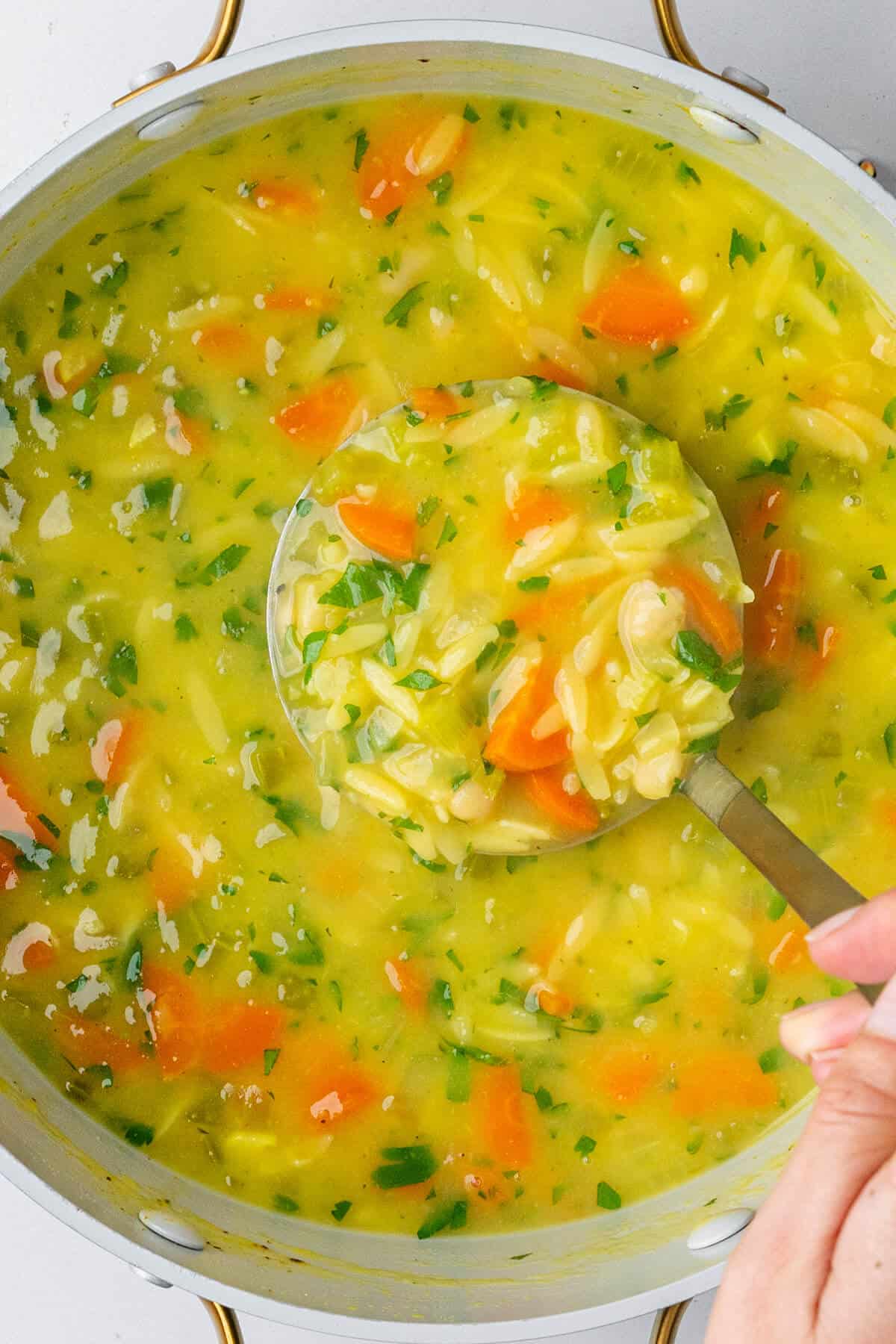 Ladle coming out of pot of soup