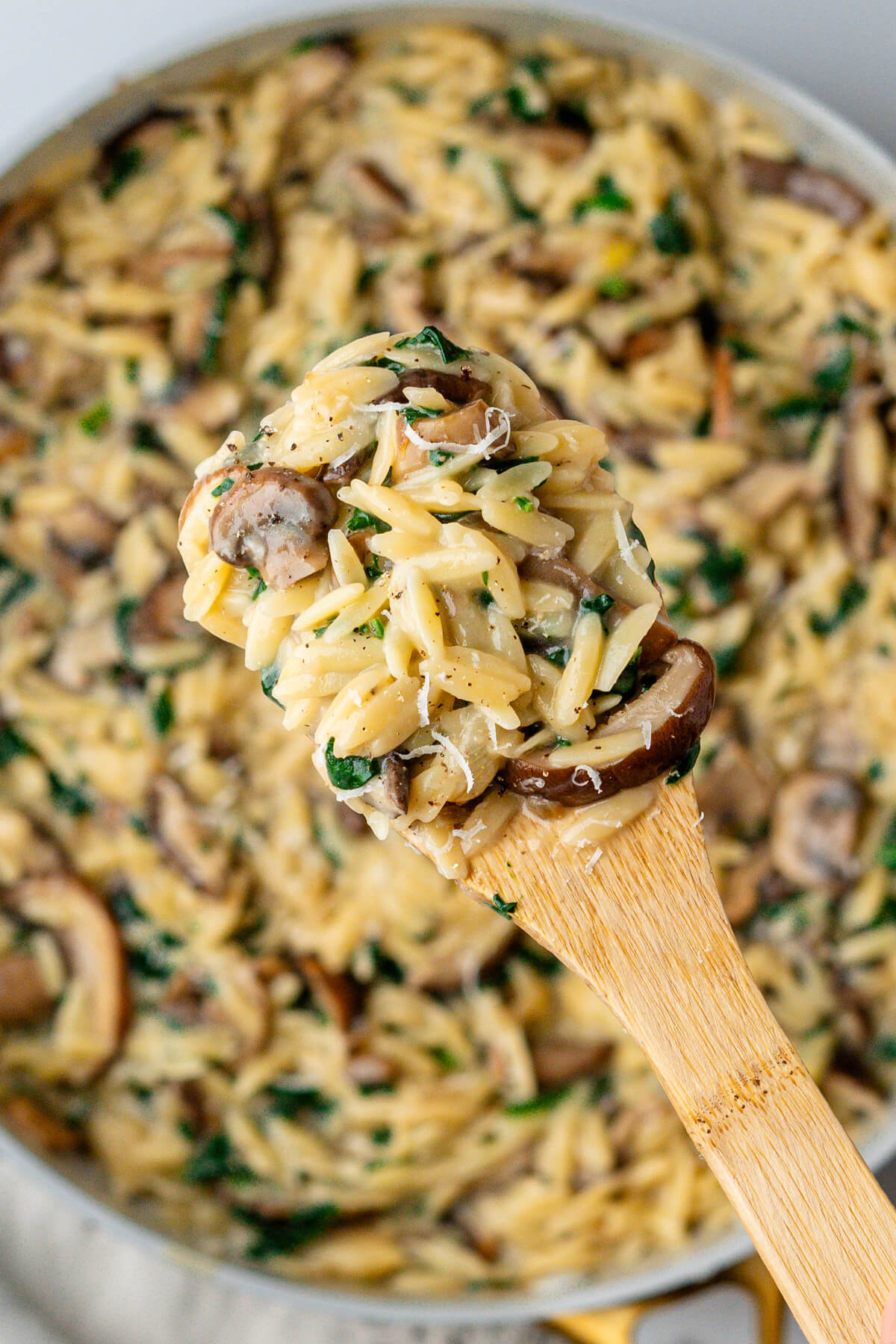 Close up of spoon with creamy mushroom orzo