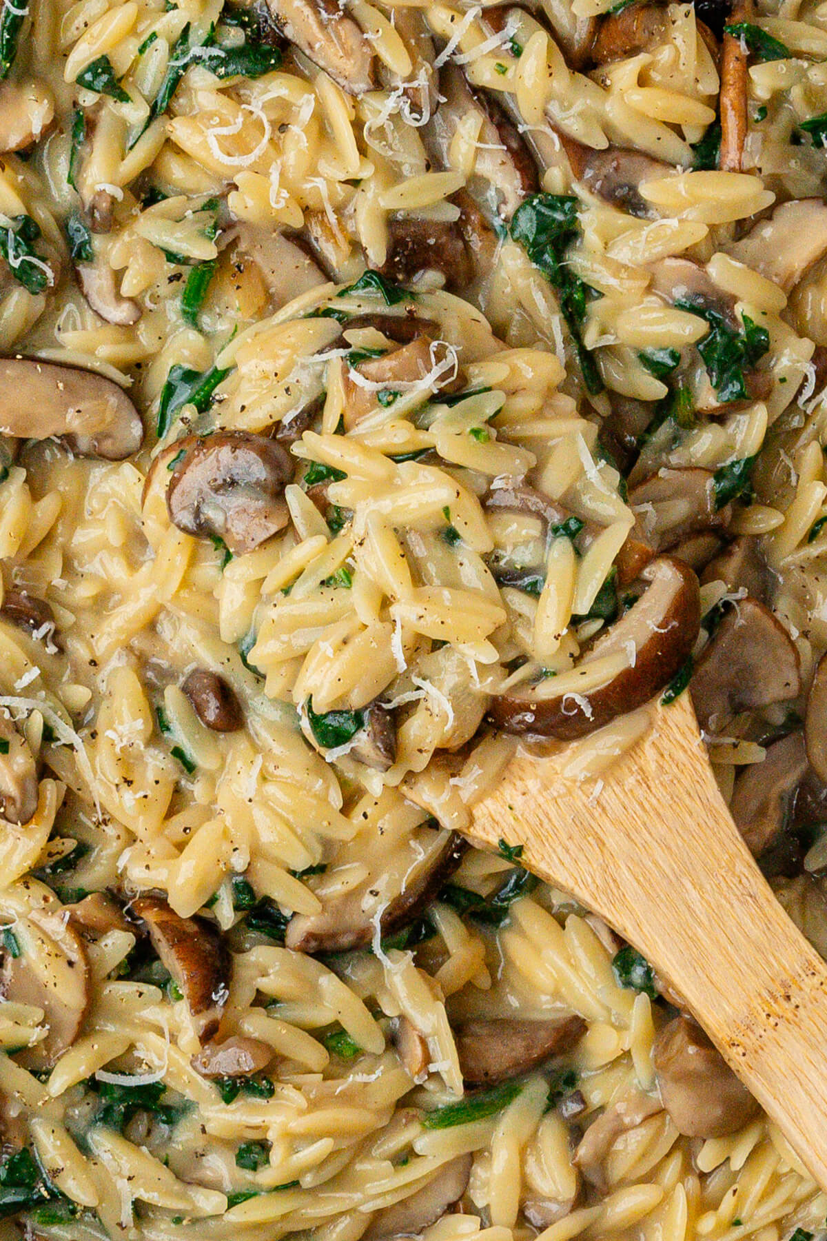 Close up of spoon in a pan of mushroom orzo