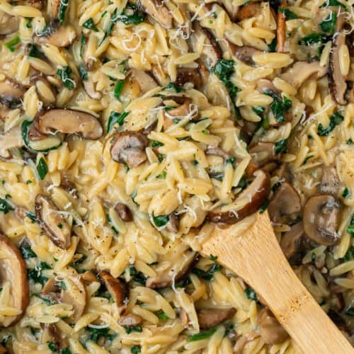 Spoon in a pan of mushroom orzo