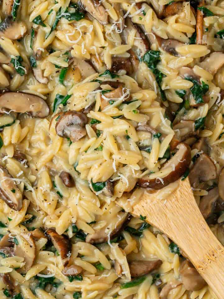 Spoon in a pan of mushroom orzo