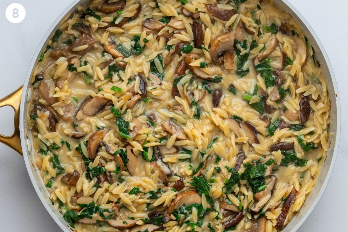 Final one pan of creamy mushroom orzo pasta