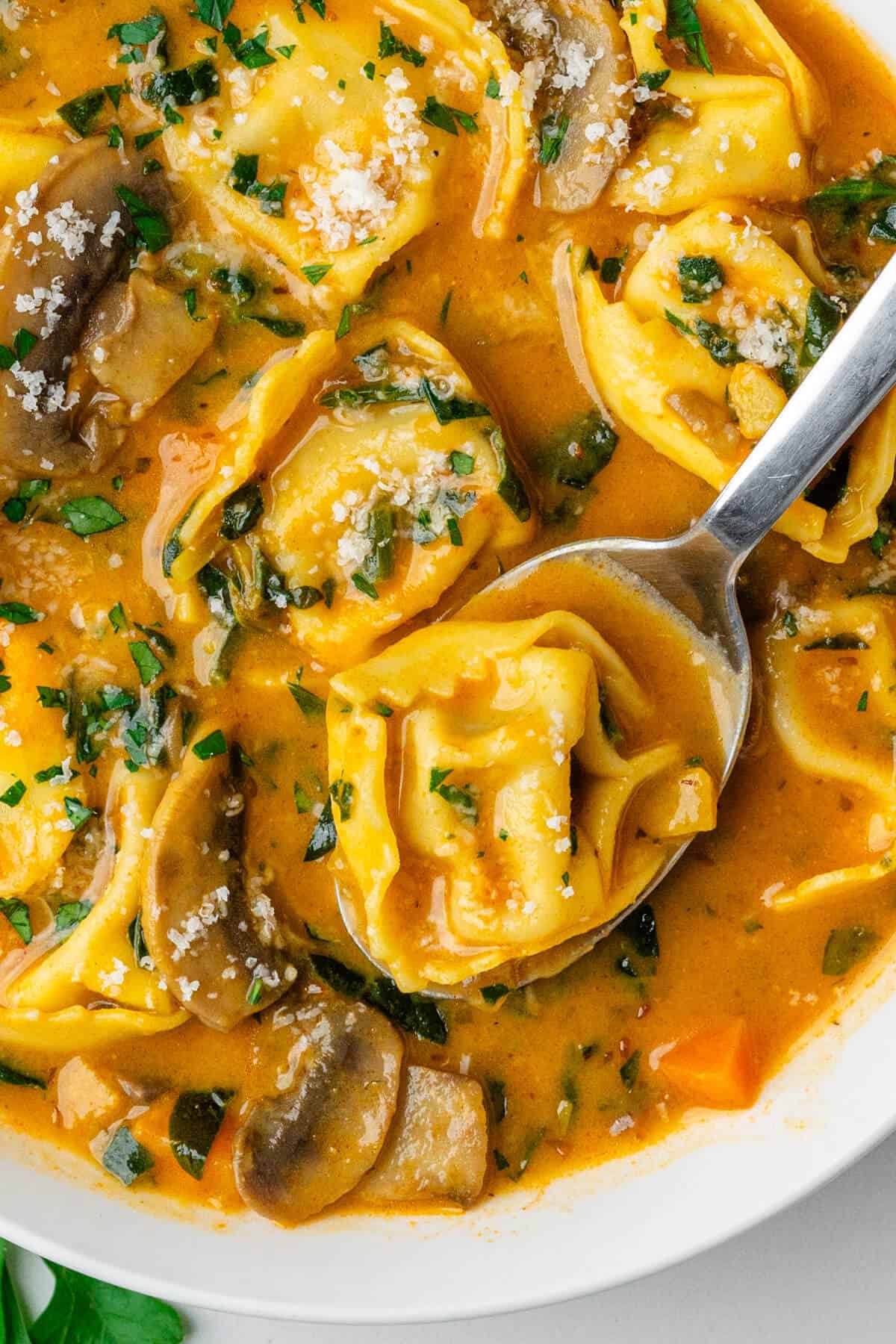 Close up of spoon in a bowl of tortellini soup