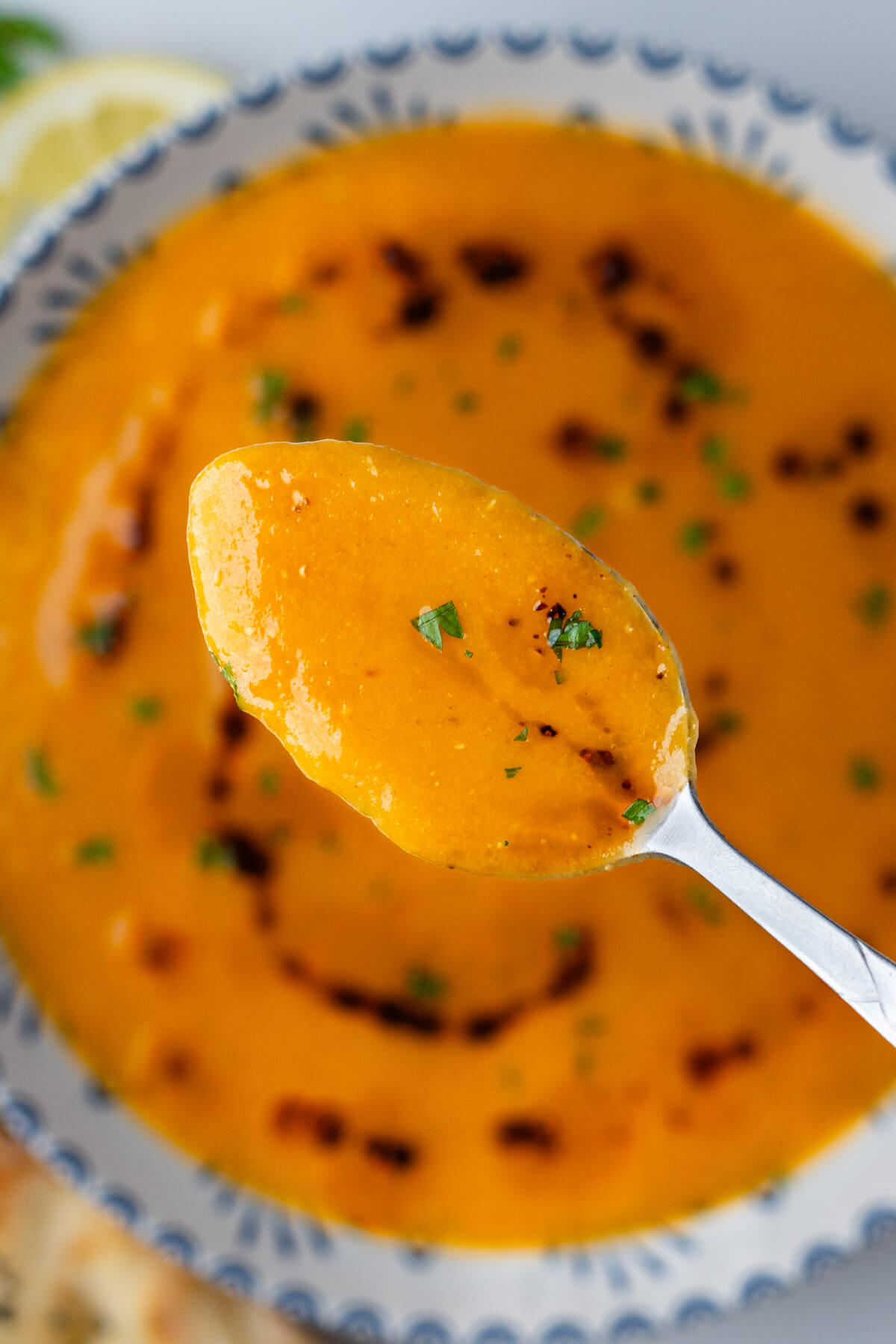 Close up of spoon to show the texture of the soup