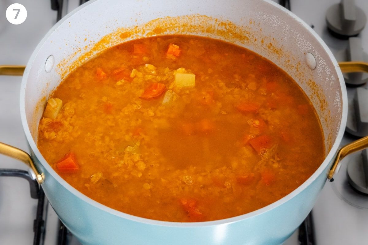 Image of how the soup will look after simmering