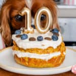 Cocos head close to the dog birthday cake