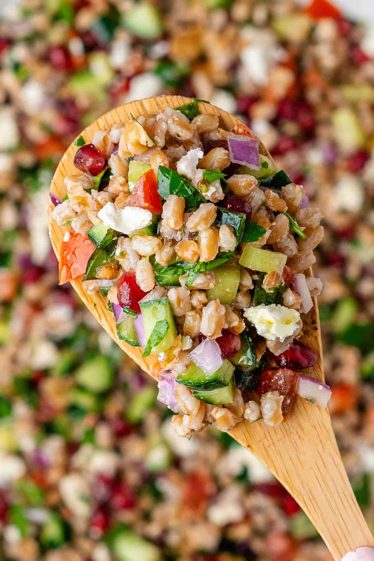 Close up of spoon to show the salad
