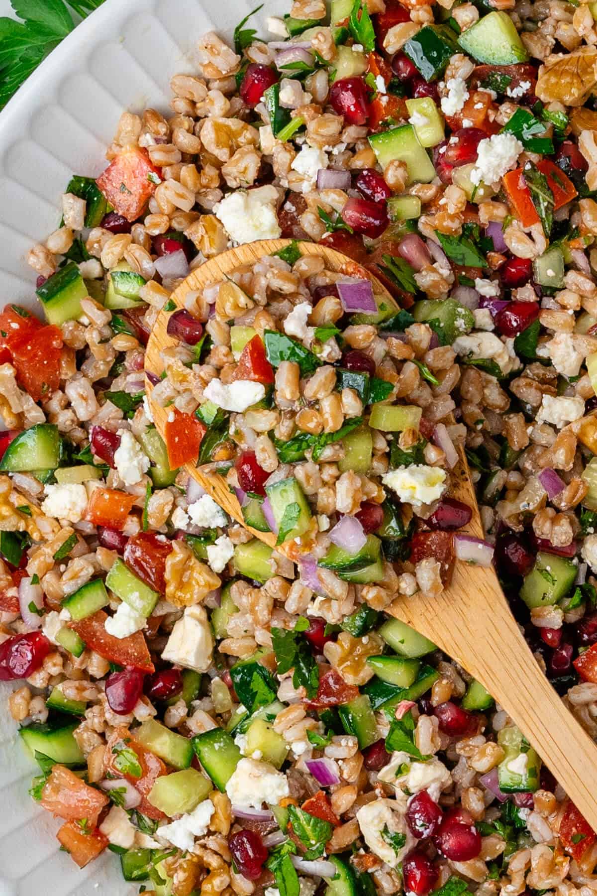 Spoon in a bowl of farro salad