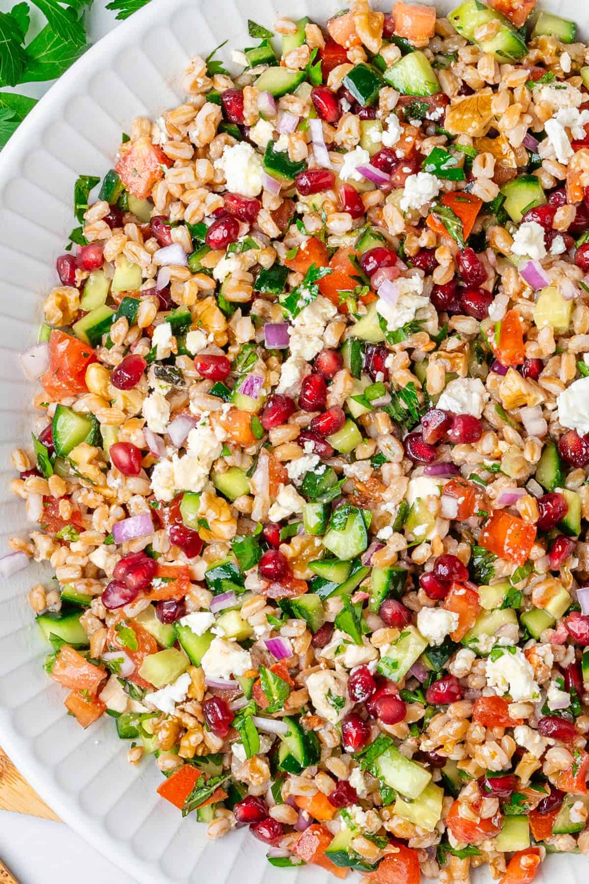 Farro salad served in a large platter