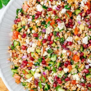 Farro salad in a salad bowl