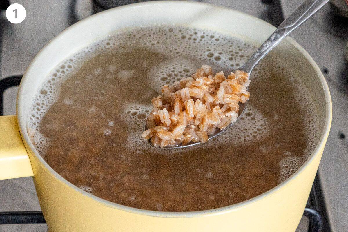 Spoon showing the texture of cooked farro in a pot