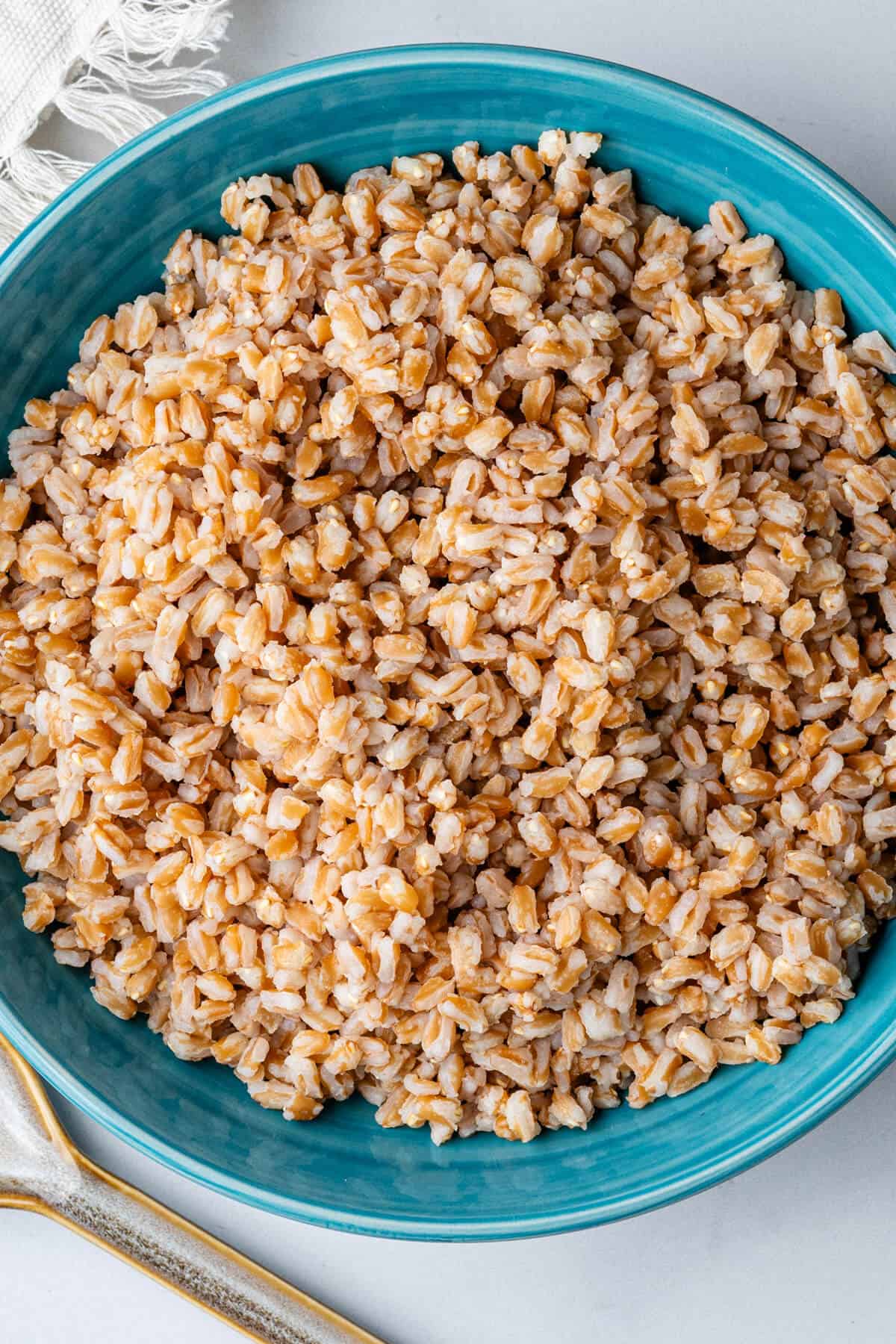 Cooked farro in a bowl