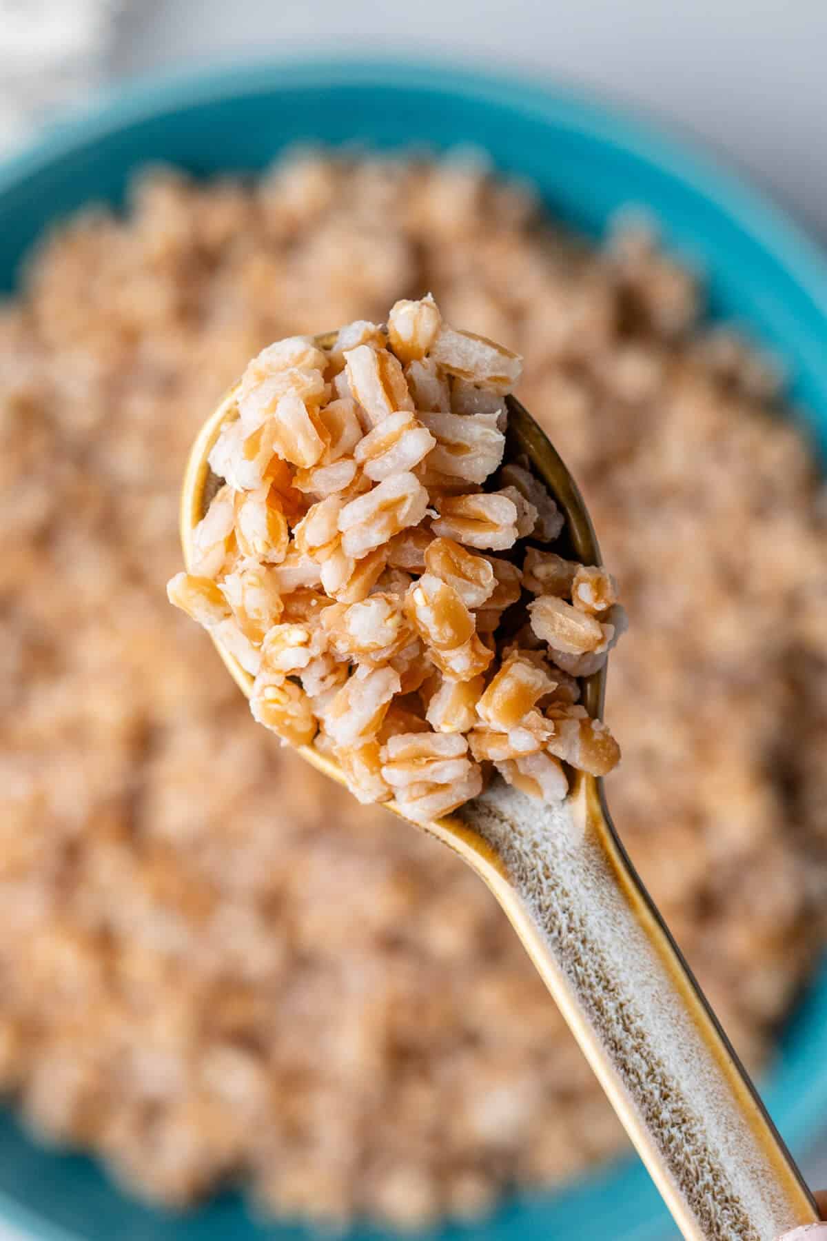 Close up of spoon of farro