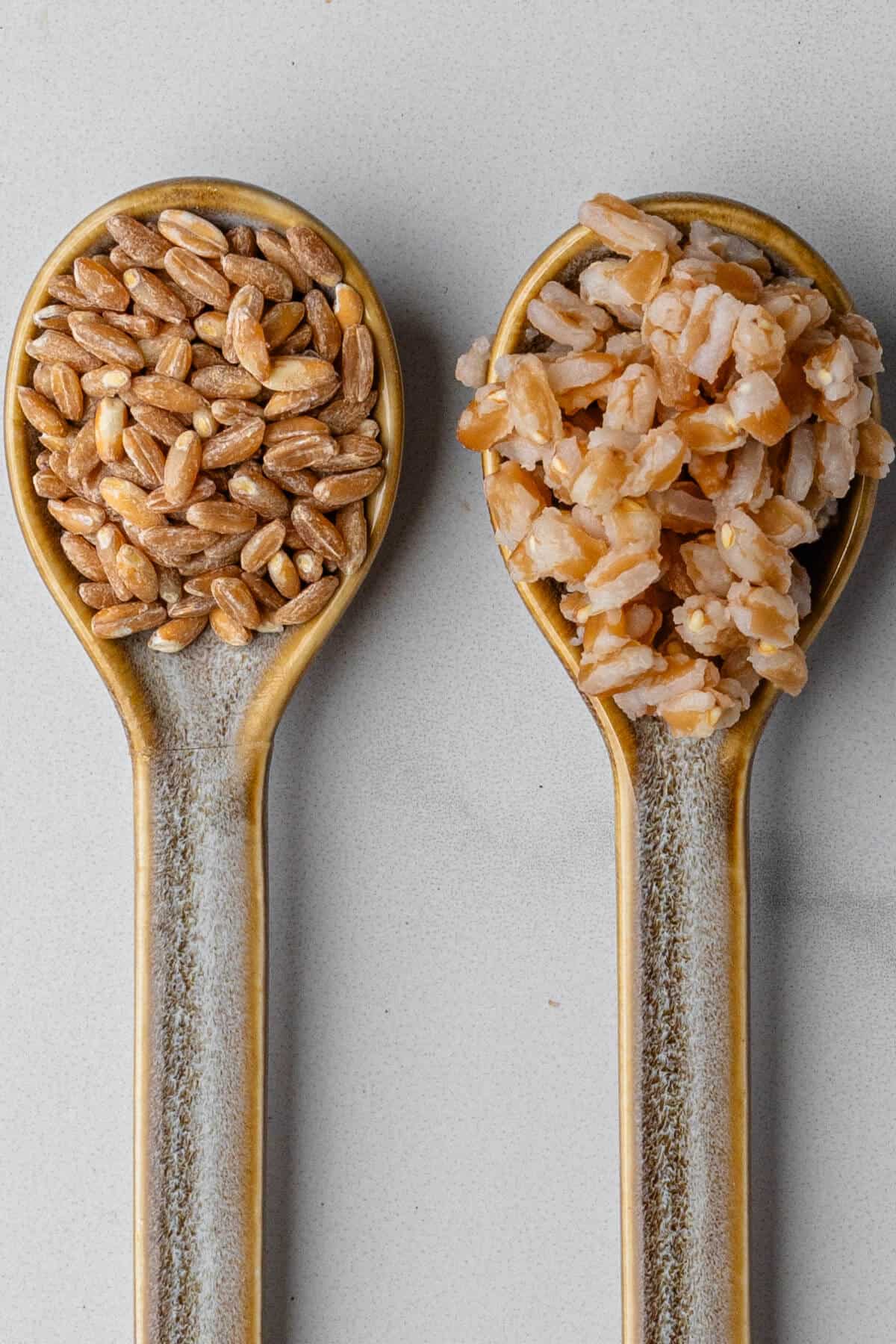 Two spoons to show uncooked and cooked farro