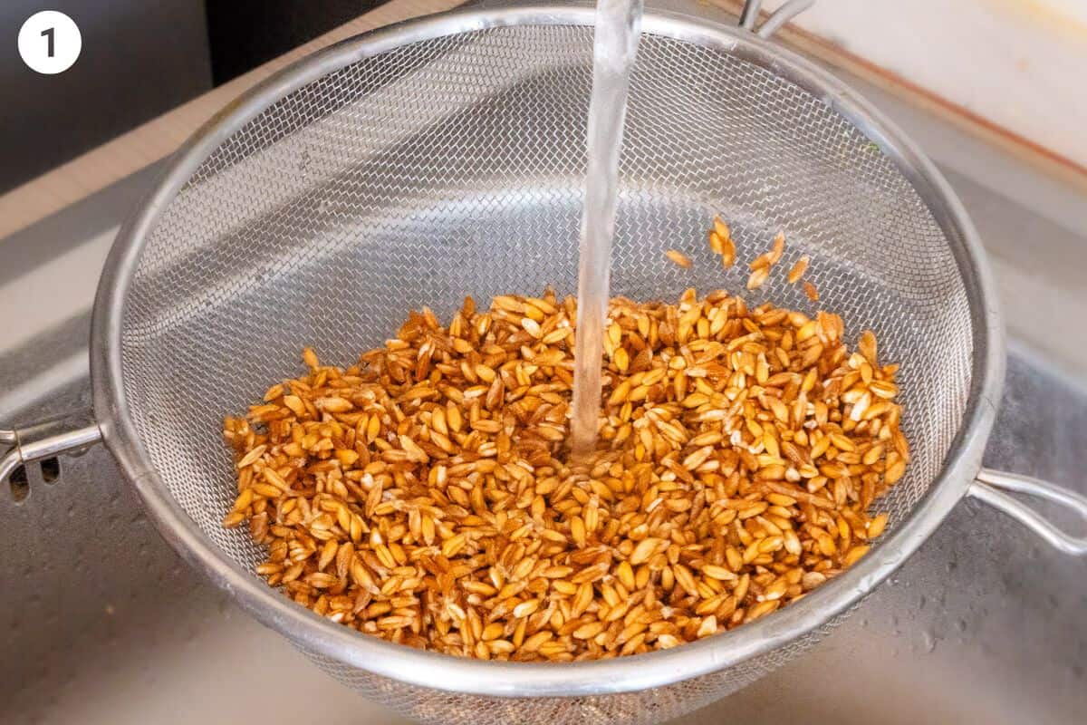 Farro being rinsed under water