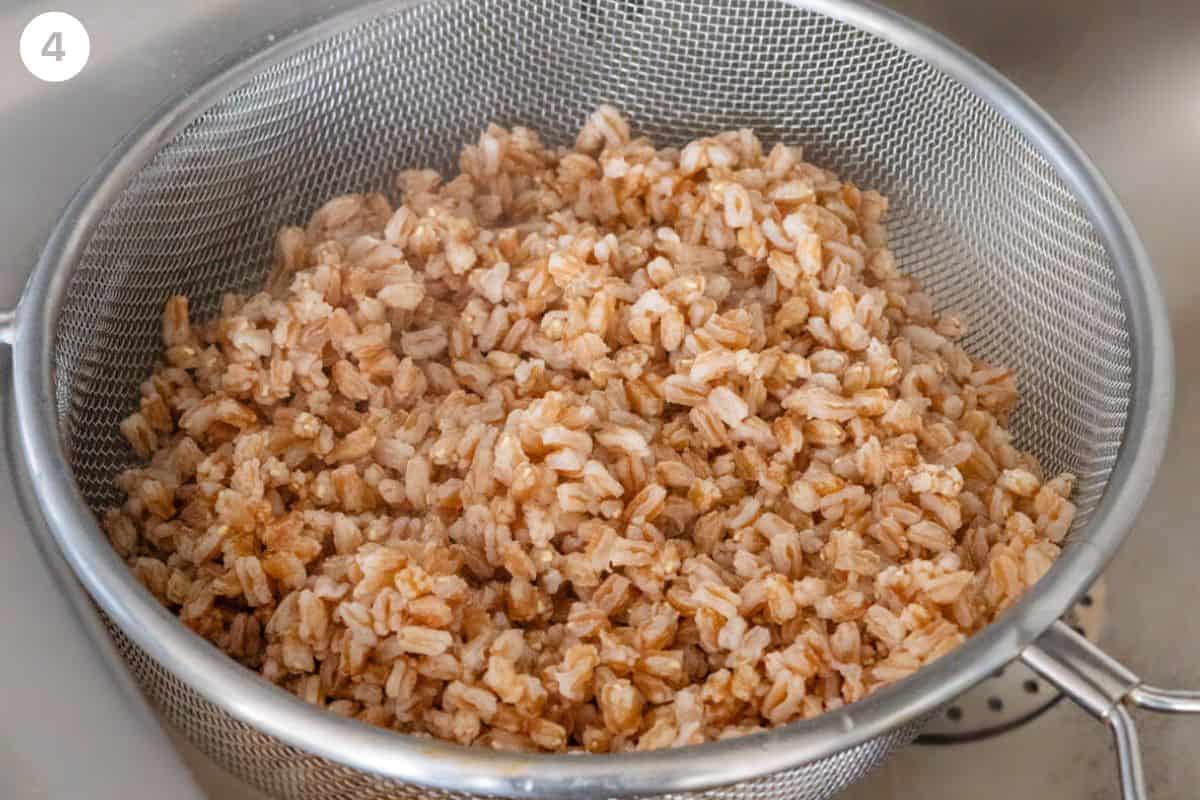 Cooked farro drained in a colander