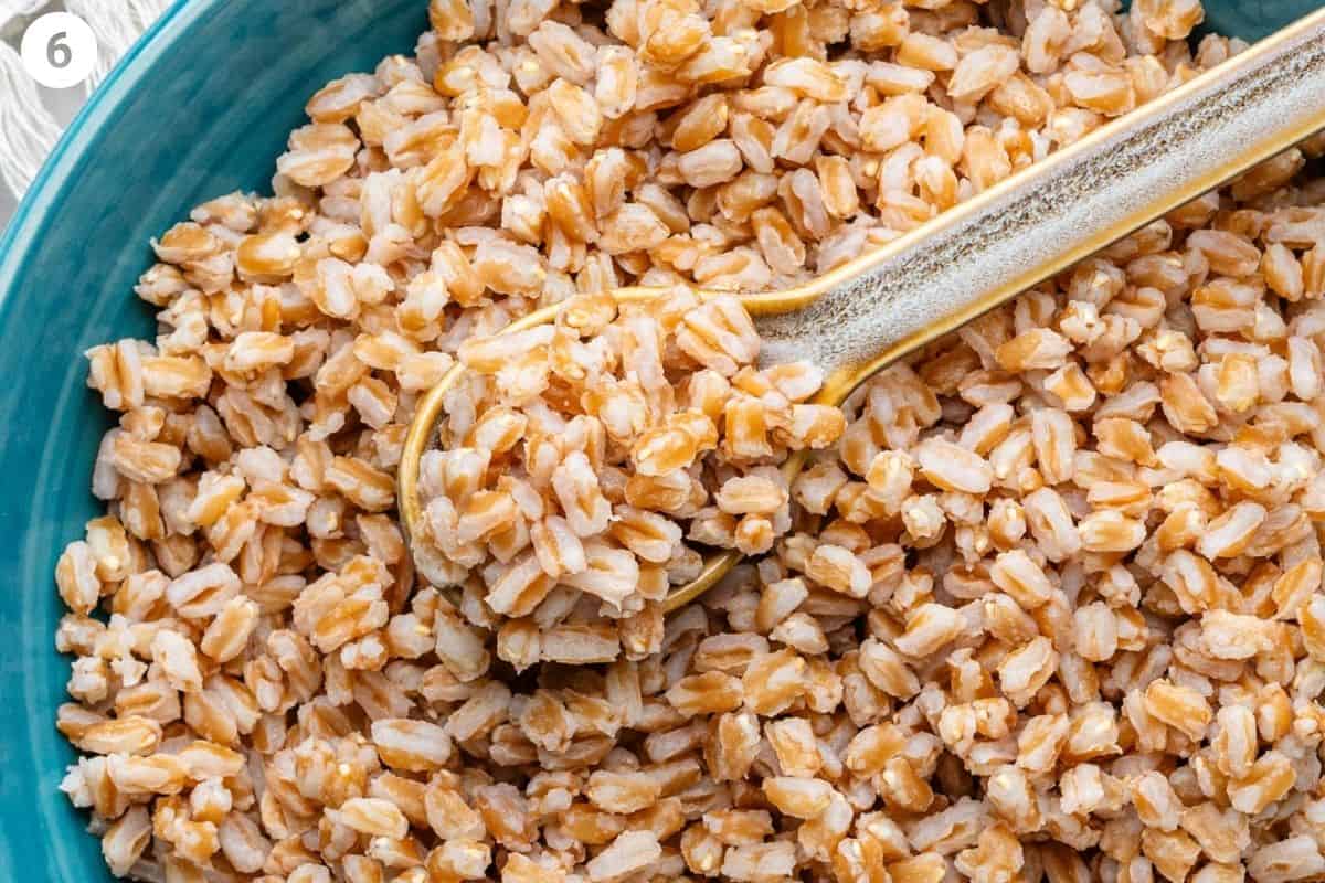 How to cook farro recipe with a spoon and bowl