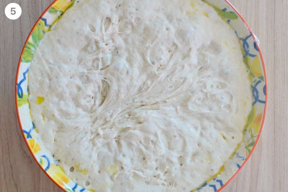 Dough after being rested overnight