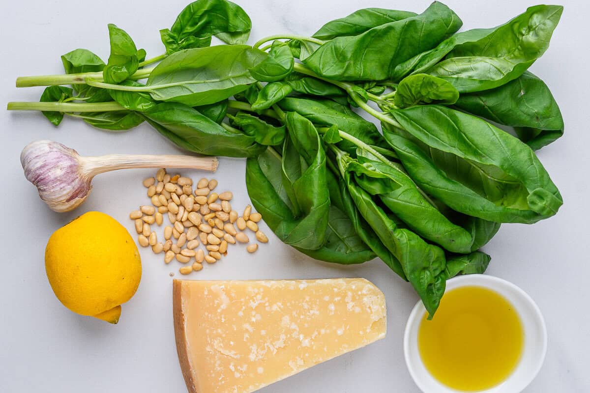 Ingredients used to make basil pesto