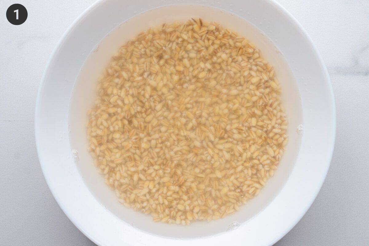 Barley being soaked in a bowl of water