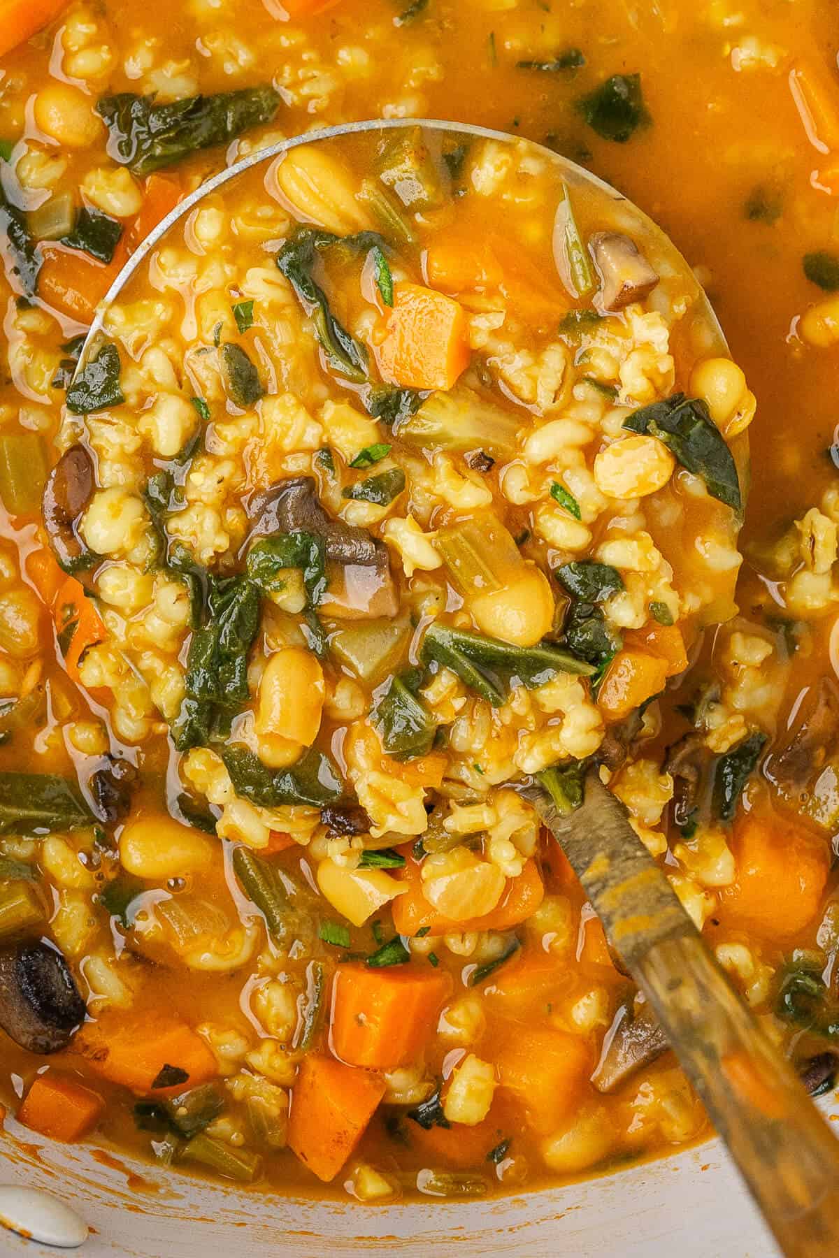 Ladle of soup in a large pot