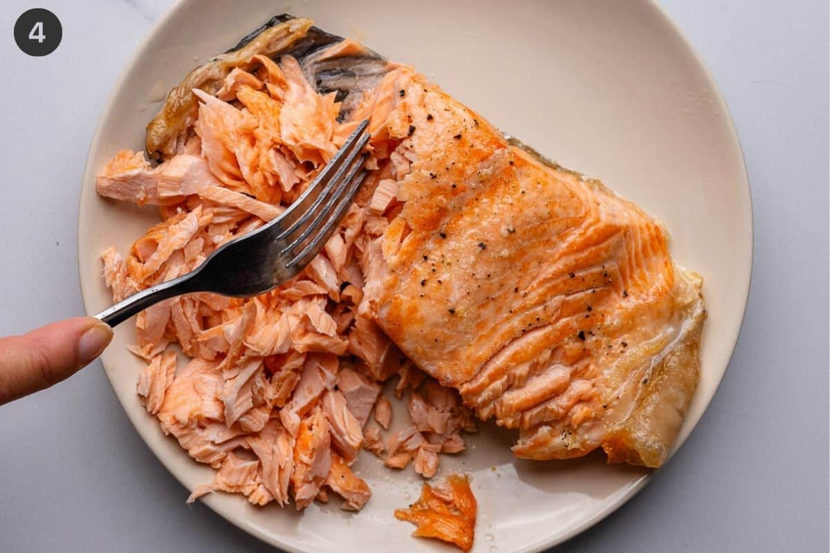 Cooked salmon being flaked with a fork