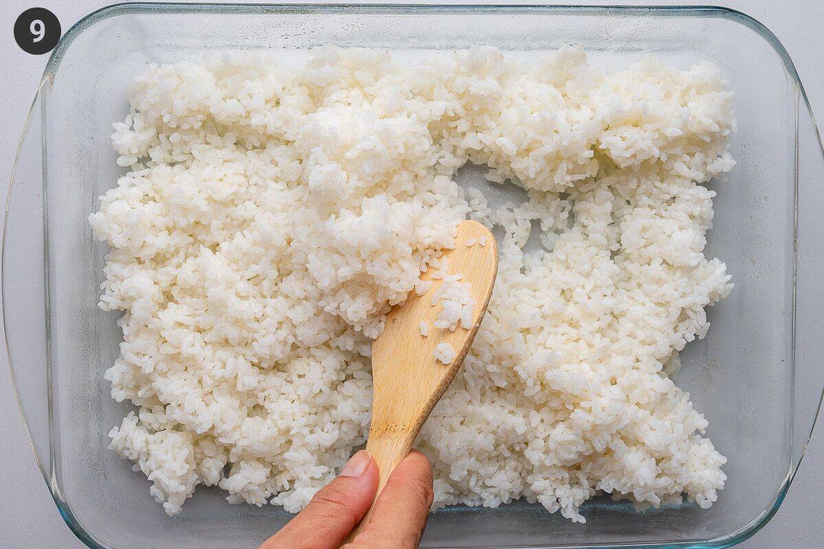 Sushi rice added to a tray with seasoning then flattened